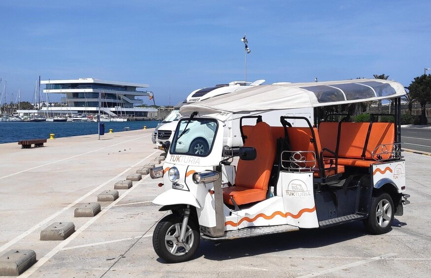 Picture 5 for Activity Valencia: Tuk Tuk Modern Tour