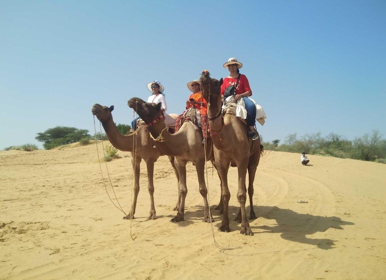 Picture 2 for Activity From Jodhpur: Guided Day Trip to Osian with Camel Safari
