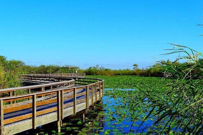 Everglades National Park Self Guided Driving Audio Tour