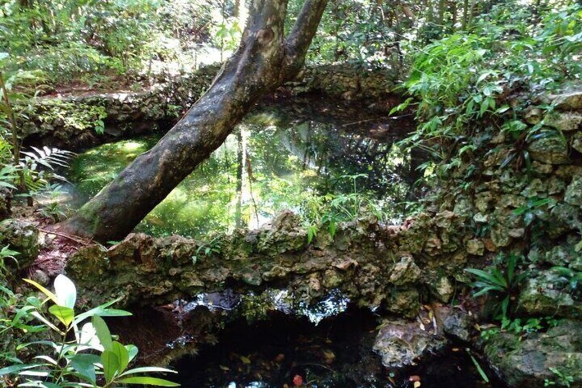  Short Excursion Cabarete Caves National Park excusion