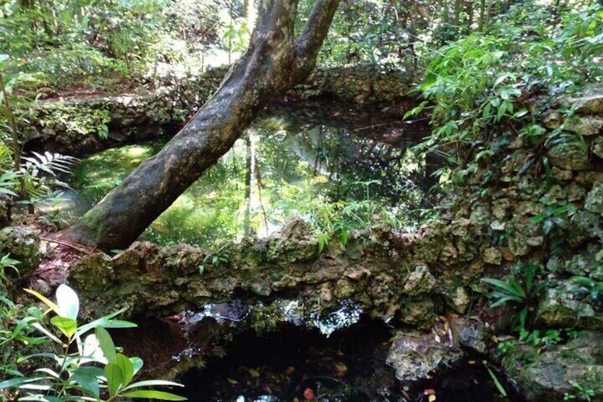 Short Excursion Cabarete Caves National Park excusion