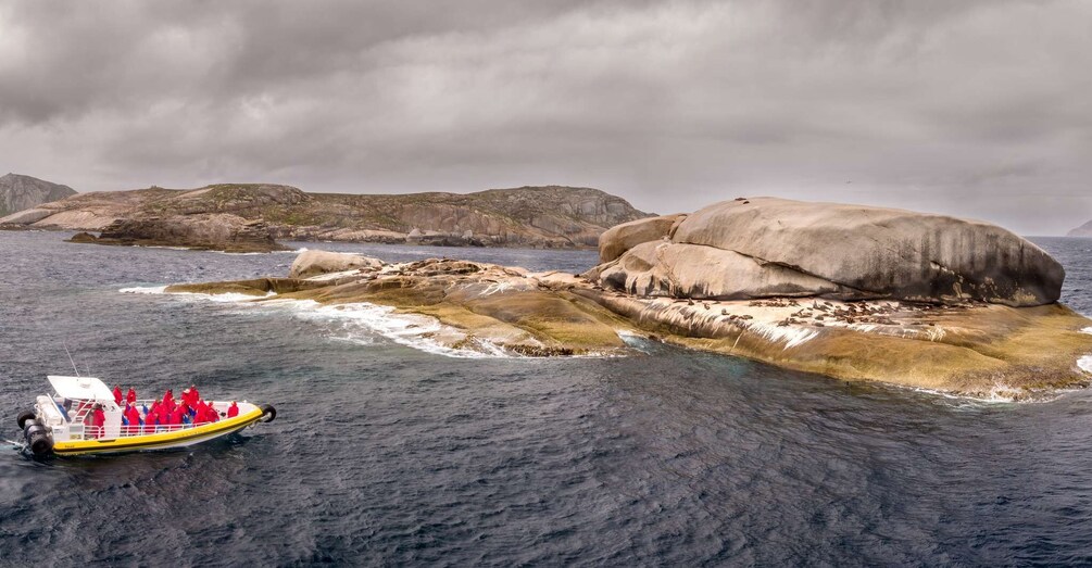 Picture 4 for Activity Wilsons Promontory: Afternoon Wilderness Cruise