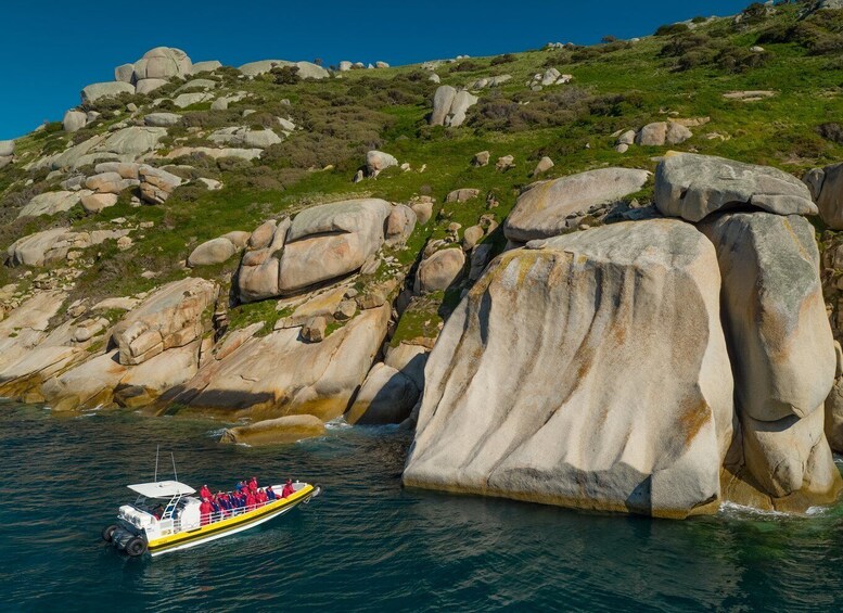 Picture 1 for Activity Wilsons Promontory: Afternoon Wilderness Cruise