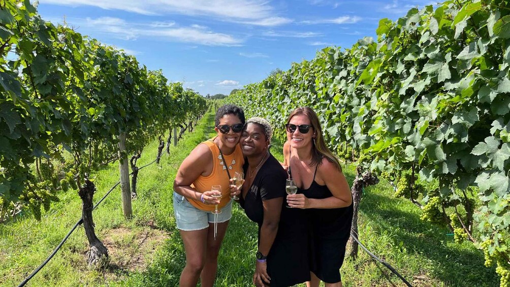 Picture 7 for Activity NYC: Long Island Sommelier-Guided Wine Tasting Tour