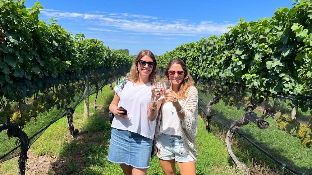 Picture 9 for Activity NYC: Long Island Sommelier-Guided Wine Tasting Tour