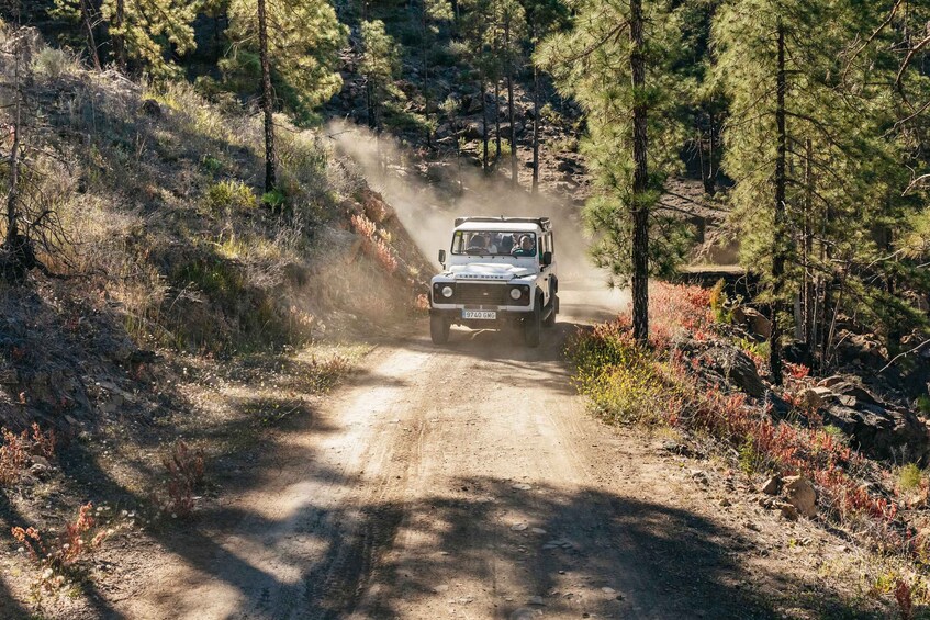 Picture 13 for Activity South Gran Canaria: Off-Road Valleys & Villages Jeep Tour