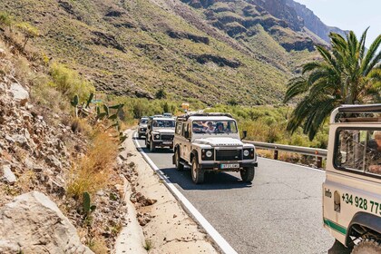 Sud de la Grande Canarie : Jeep hors route des vallées et villages excursio...