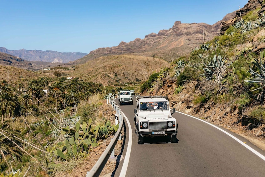 Picture 6 for Activity South Gran Canaria: Off-Road Valleys & Villages Jeep Tour