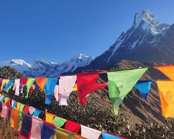 Caminata de yoga de 7 días al campamento base de Mardi Himal