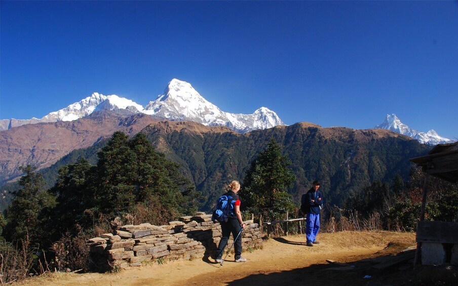 Picture 4 for Activity Mardi Himal Base Camp Yoga Trek 7-Day