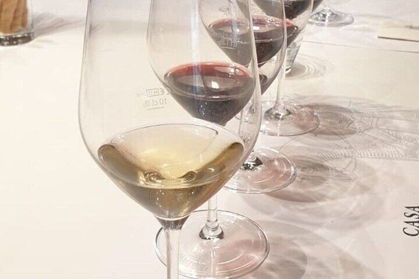 Wine & Food Tasting on Etna's Winery Private Tour