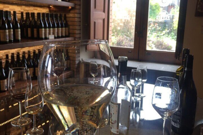 Wine & Food Tasting on Etna's Winery Private Tour