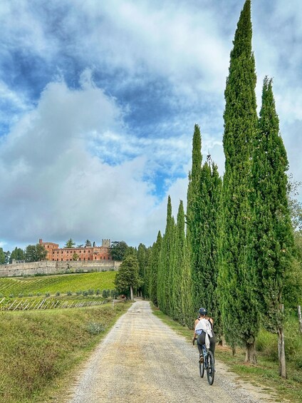Picture 5 for Activity Siena: Chianti Classico Guided Cycling Tour
