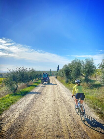 Picture 8 for Activity Siena: Chianti Classico Guided Cycling Tour