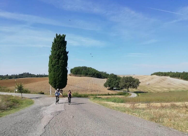 Picture 16 for Activity Siena: Chianti Classico Guided Cycling Tour