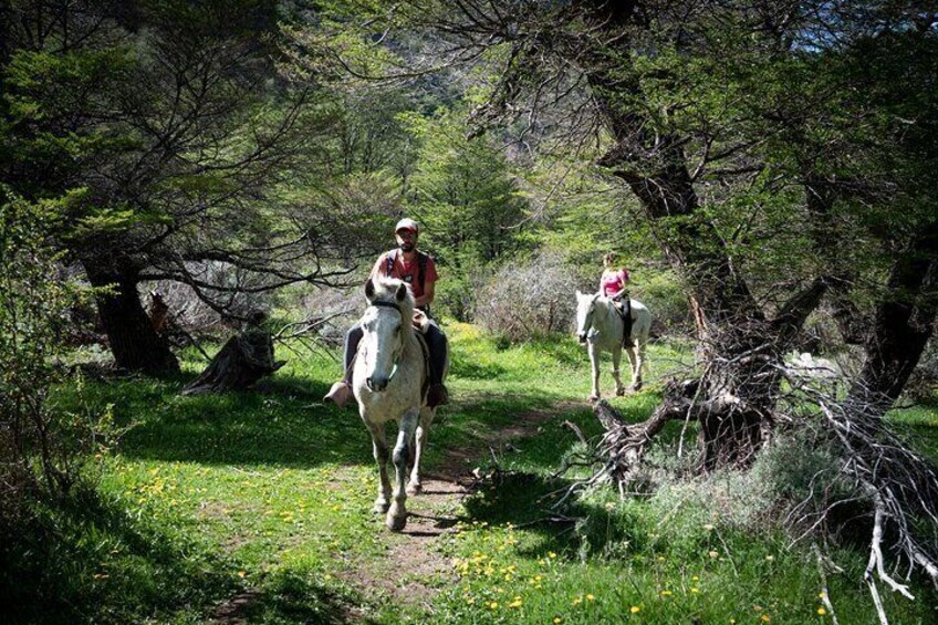 Horseback riding en Estancia Bonanza