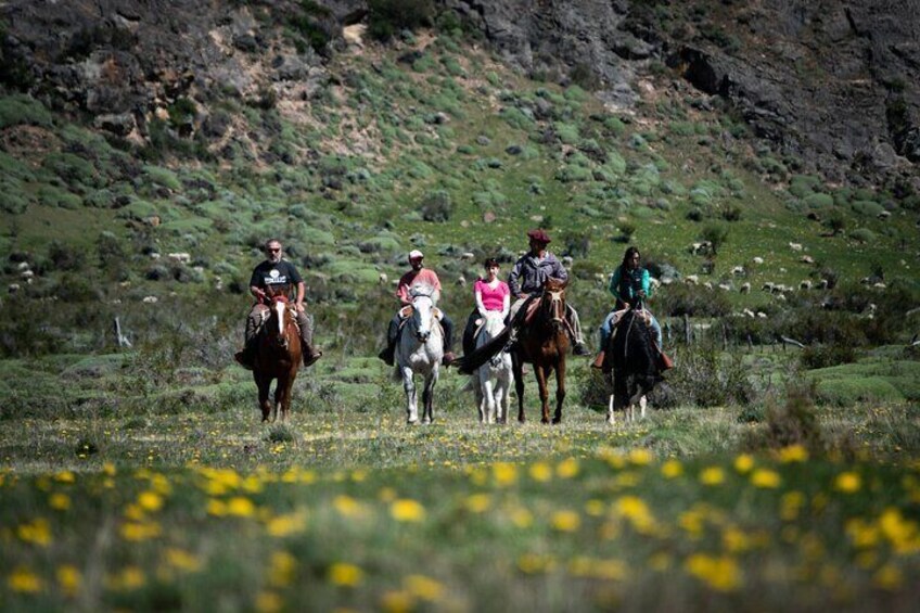 Horseback riding en Estancia Bonanza