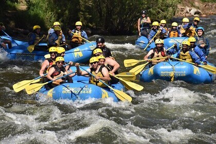 Beginner Raft Trip on Clear Creek near Denver