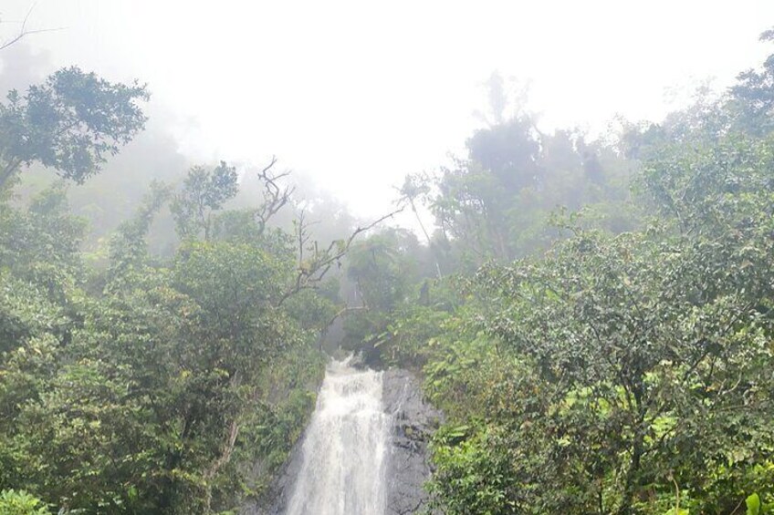 La coca waterfalls! 85 foot tall of natural beauty.