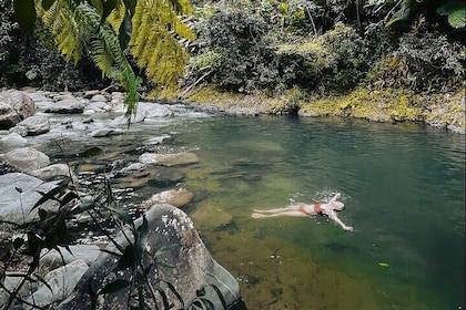 Visita guiada al Bosque Nacional El Yunque con transporte