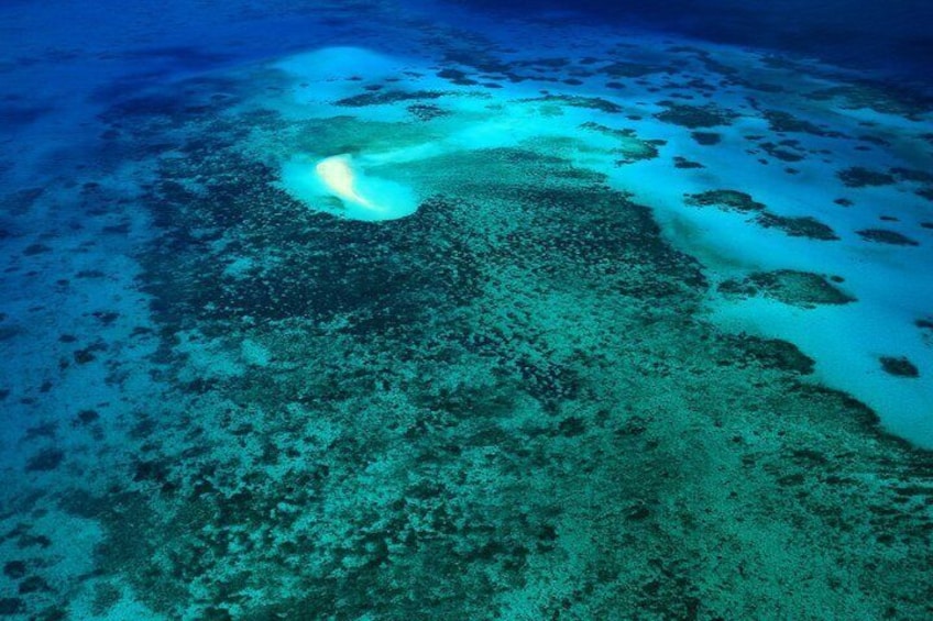 Vlasoff Reef & Middle Cay