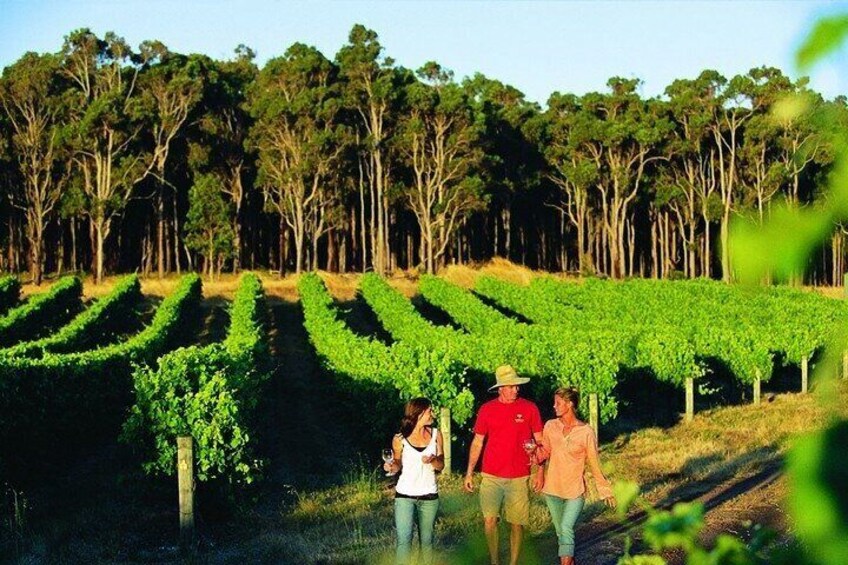 Build your own Unique Private Winery/Brewery Tour at the Margaret River region
