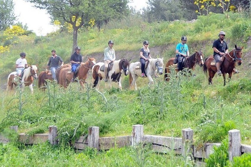 Kusadasi Horse Riding On Beach And Through The River