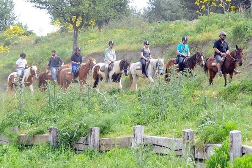 Kusadasi Horse Riding On Beach And Through The River