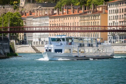 Lyon 2.5-Hour Dinner Cruise