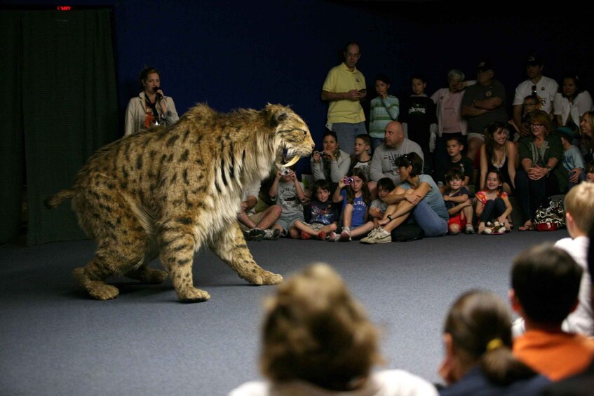 Picture 6 for Activity Los Angeles: La Brea Tar Pits Museum Ticket