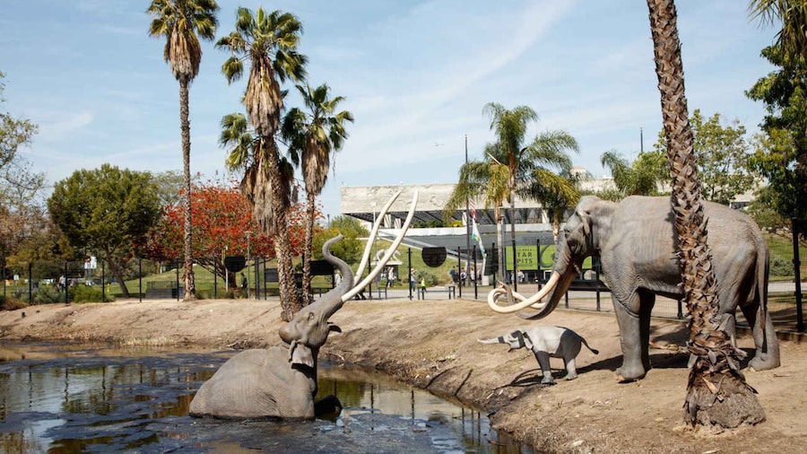 Los Angeles: La Brea Tar Pits Museum Ticket