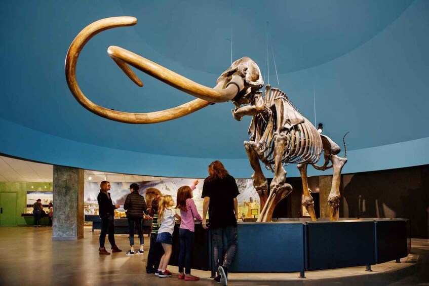 Picture 1 for Activity Los Angeles: La Brea Tar Pits Museum Ticket