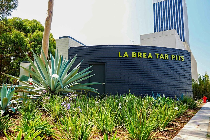 Picture 14 for Activity Los Angeles: La Brea Tar Pits Museum Ticket