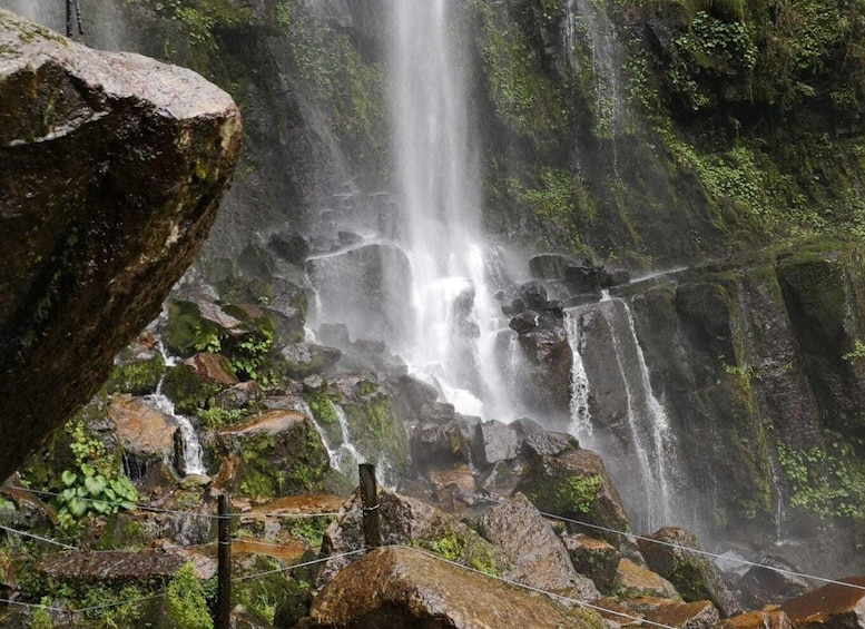 Picture 7 for Activity From Bogotá: Hike to La Chorrera Waterfall With Meals