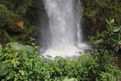 From Bogota: Hike to Colombia's Highest Waterfall