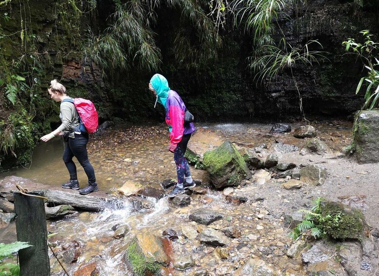 Picture 6 for Activity From Bogota: Hike to Colombia's Highest Waterfall