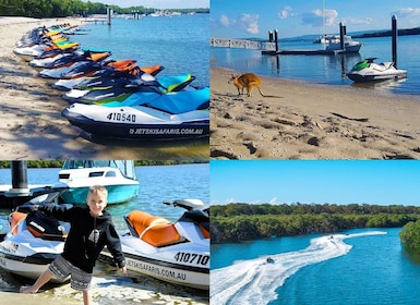 2.5-Hour Ultimate Jet Ski Safari to North Stradbroke Island