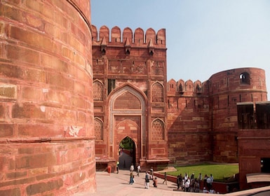 From Delhi: Trip to Taj Mahal, Wildlife SOS and Agra Fort