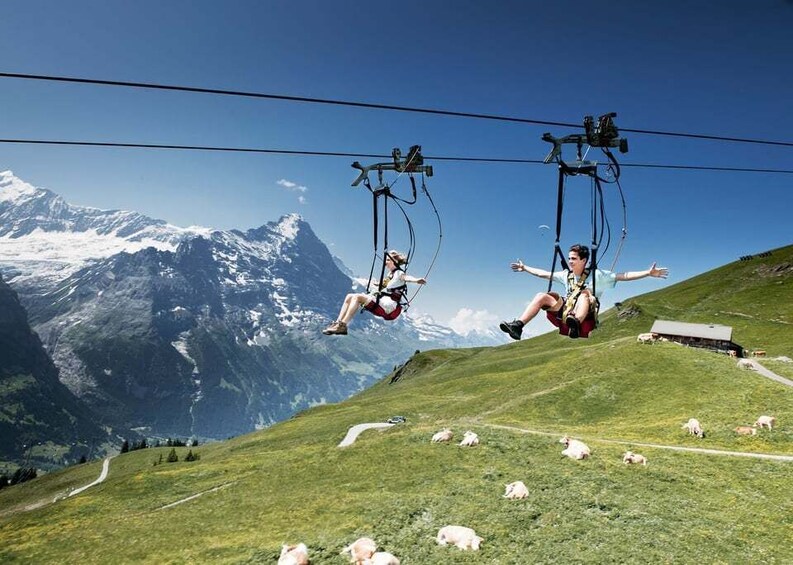 Picture 5 for Activity Grindelwald Gondola Ride to Mount First