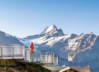 Paseo en góndola de Grindelwald a Mount First