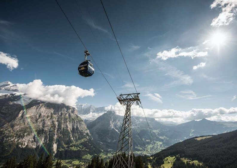 Picture 6 for Activity Grindelwald Gondola Ride to Mount First