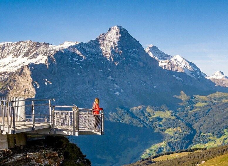 Picture 4 for Activity Grindelwald Gondola Ride to Mount First