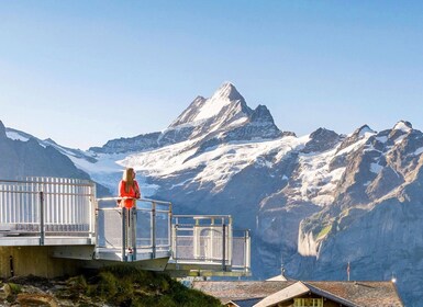 Grindelwald Viaje en telecabina al Monte Primero