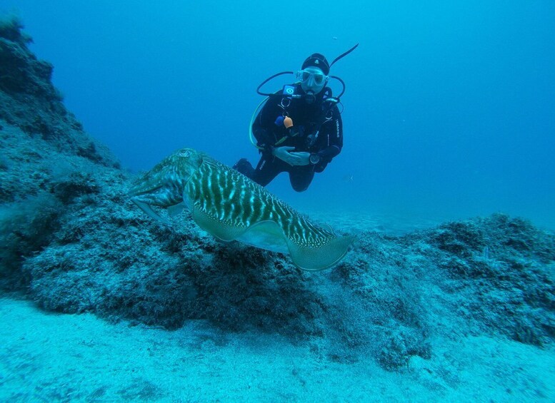 Picture 5 for Activity Gran Canaria: Try Scuba Diving for Beginners
