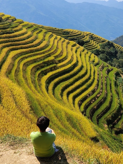 Picture 5 for Activity Longji Rice Terraces: Full-Day Private Tour from Guilin