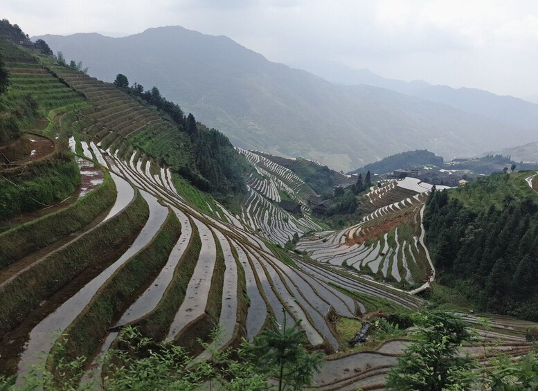 Picture 2 for Activity Longji Rice Terraces: Full-Day Private Tour from Guilin