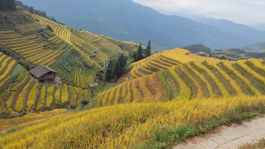 Picture 3 for Activity Longji Rice Terraces: Full-Day Private Tour from Guilin