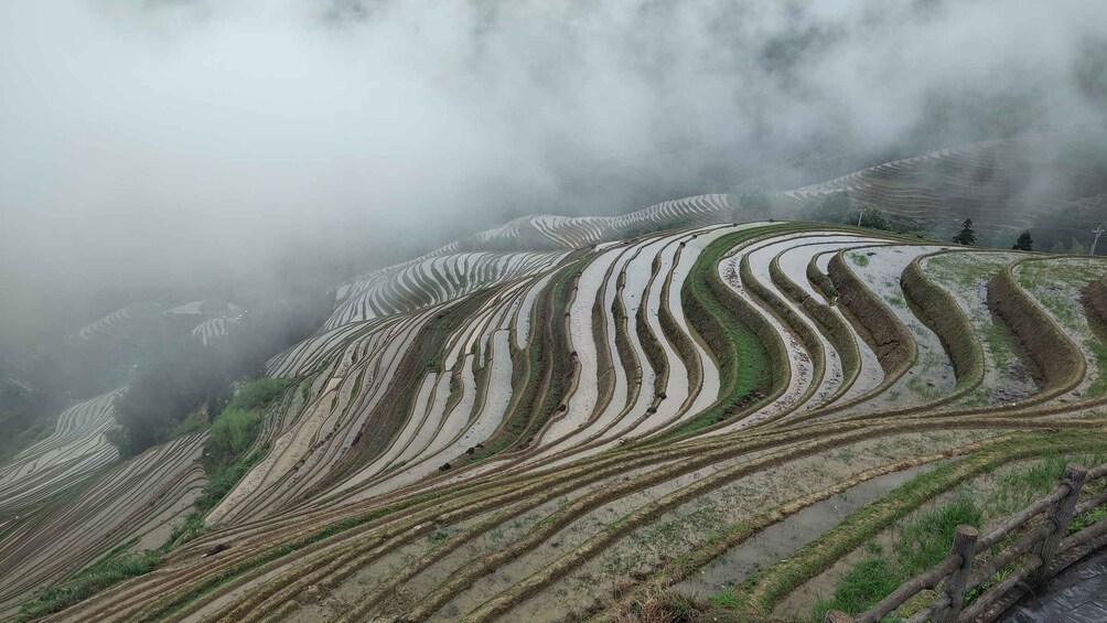 Picture 7 for Activity Longji Rice Terraces: Full-Day Private Tour from Guilin