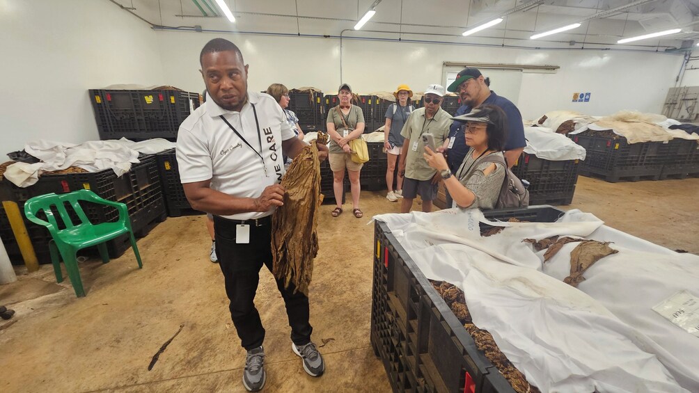 3 Tours in 1: Cigar Factory, Altos de Chavon and Cave Expedition