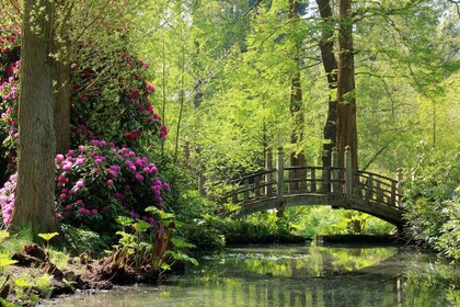 Birmingham Entrada a la Casa y Jardín de Winterbourne